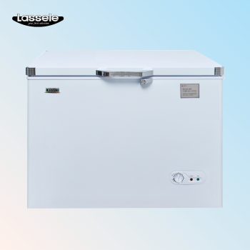 라셀르 업소용 다목적 냉동고 280L 윗덮개형 BDN-258